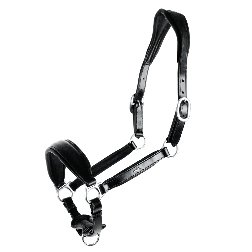 FREMONT - Anatomisches Halfter