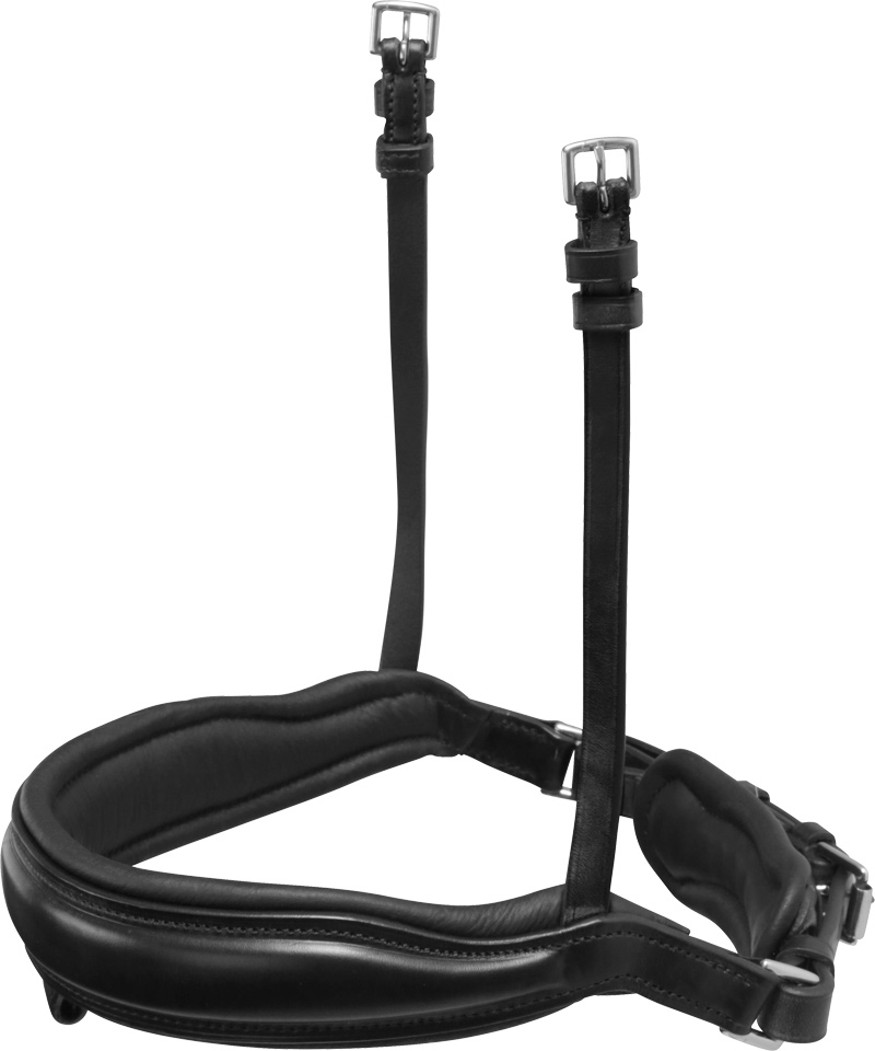STANFORD REITHALFTER - Reithalfter Trense