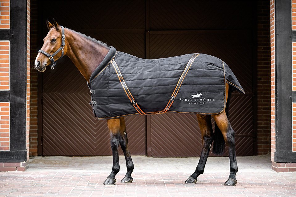 NEW ALLTIME 400g - Stalldecke