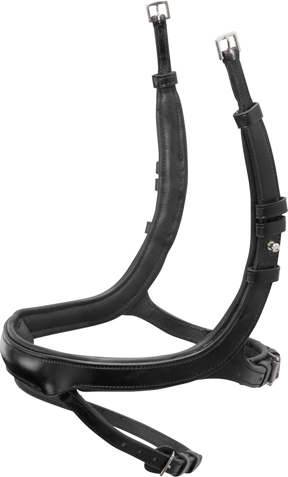 EQUITUS ALPHA REITHALFTER - Reithalfter Trense