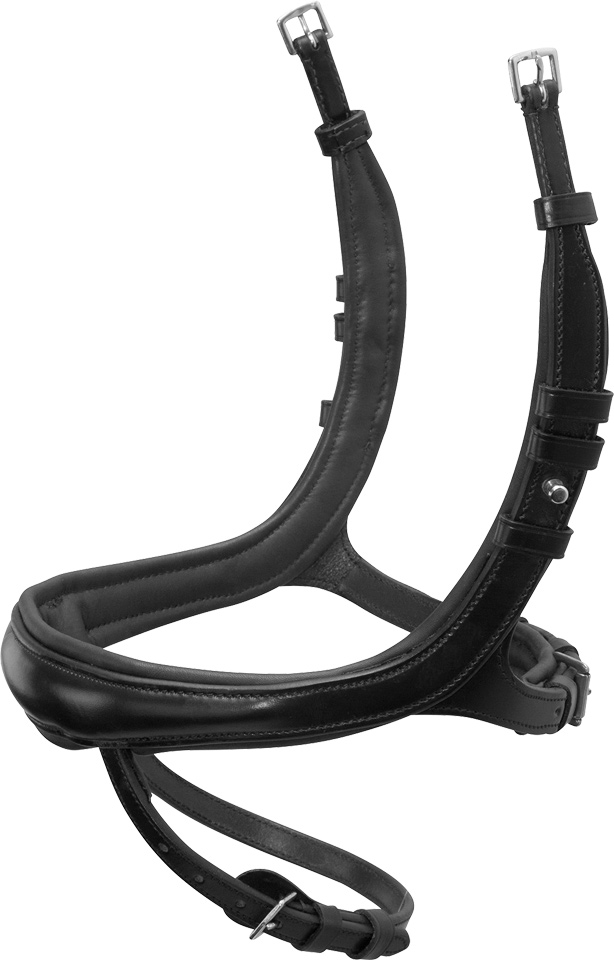 EQUITUS BETA REITHALFTER - Reithalfter Trense