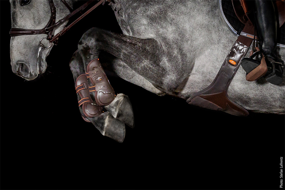 Air Flow Champion Tendon Boots - Gamaschen